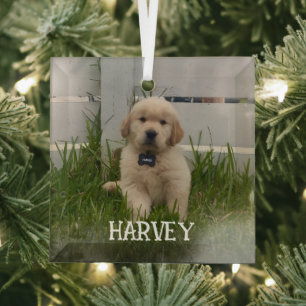 Mijn hondenfoto kerst glas ornament