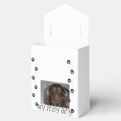 Mijn hond's verjaardagskist bedankdoosjes (Geopend)