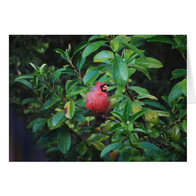 Mijn HoofdKaart van Deugden (Voorkant Horizontaal)