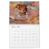 Mijn hoppy plaats kalender (Feb 2026)