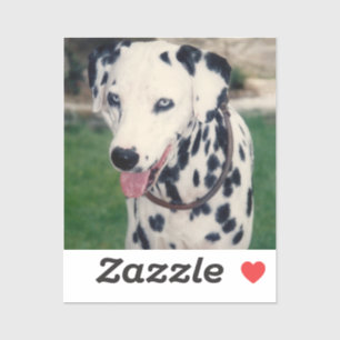 Mijn huisdier vriend aangepaste foto sticker