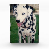 Mijn huisdier vriend Upload je eigen Afbeelding Cu Fotoblokken (Voorkant)