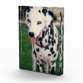 Mijn huisdier vriend Upload je eigen Afbeelding Cu Fotoblokken (Rechts)