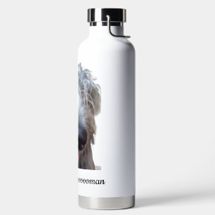 Mijn Irish Wolfhound neemt mij mee uit wandelen Wa Waterfles