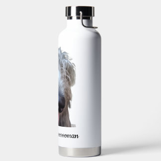 Mijn Irish Wolfhound neemt mij mee uit wandelen Wa Waterfles