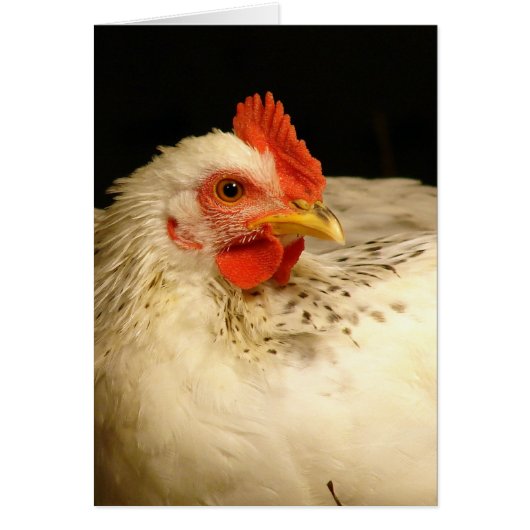 Mijn jongen (Voorkant)