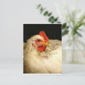 Mijn jongen briefkaart (Staand voorkant)