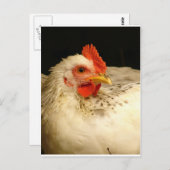 Mijn jongen briefkaart (Voorkant / Achterkant)