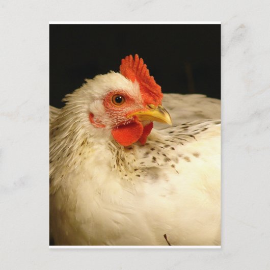 Mijn jongen briefkaart (Voorkant)