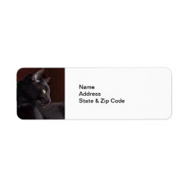 Mijn jongen, Charlie Return Address Labels