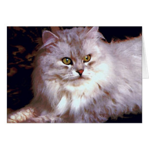 Mijn kat