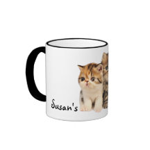 "Mijn Kat" Chubs en Bubs Kitten