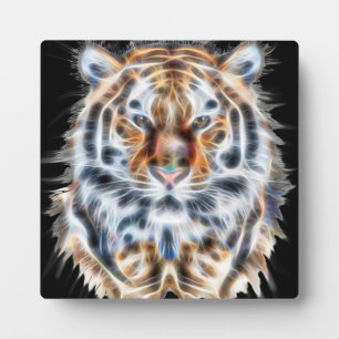 Mijn kat doet de tijger oude energie op. fotoplaat