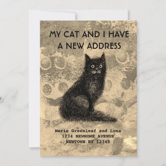 Mijn kat en ik hebben de aankondiging verplaatst (Voorkant)