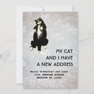 Mijn kat en ik zijn verhuisd Aankondiging