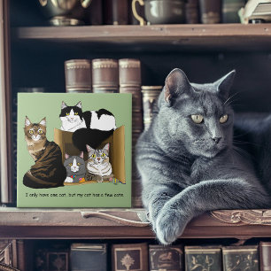 Mijn kat heeft katten tegeltje