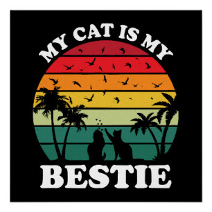 Mijn kat is mijn beste vriend perfect poster