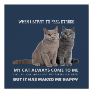 mijn kat maakt me altijd gelukkig poster perfect poster
