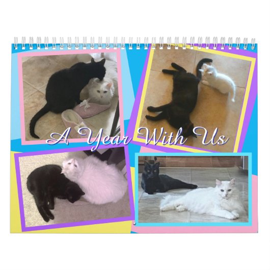 Mijn katten kalender (Hoes)