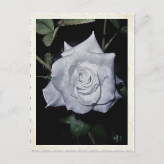 Mijn kleine blauwe prinses briefkaart (Voorkant)