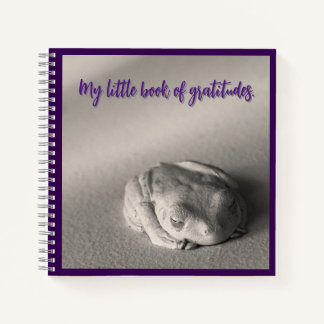 Mijn kleine boek van dankbaarheid.