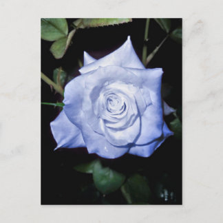 Mijn kleine prinses briefkaart