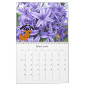 Mijn kleine rendierkalender kalender (Mar 2026)