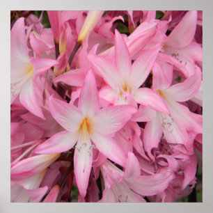 Mijn kleine vriend slaapt..... poster