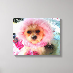 Mijn kleur is roze canvas afdruk