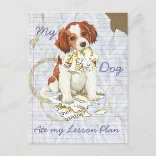 Mijn Kooiker Ate Mijn Lesson Plan Briefkaart