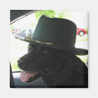 Mijn labrador magneet