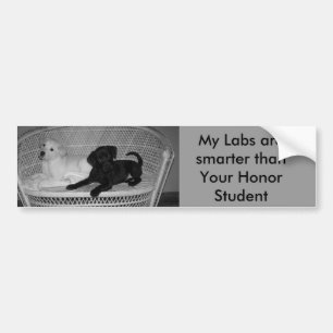 Mijn labs zijn slimmere bumpersticker