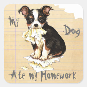 Mijn lange Coat Chihuahua Ate Mijn thuiswerk Vierkante Sticker