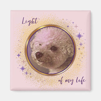 Mijn Licht Magnet Magneet