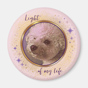 Mijn Licht Magnet Magneet