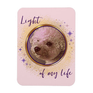 Mijn Licht Magnet Magneet