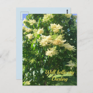 Mijn liefste Briefkaart