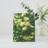 Mijn liefste Briefkaart (Staand voorkant)