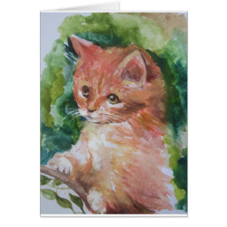 Mijn lieve kat