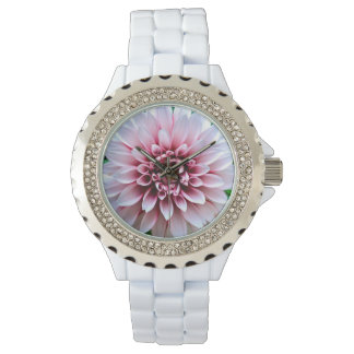 Mijn lieveling Dahlia, let op Horloge