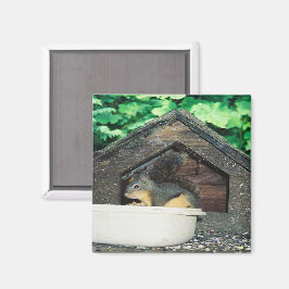 Mijn Lil' vriend..... Magneet