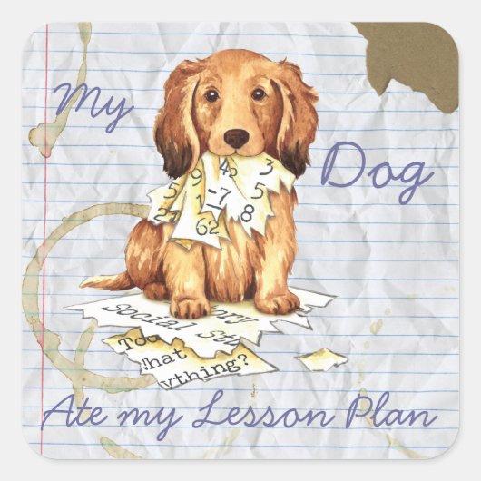 Mijn Longhaire Dachshund Ate mijn Lesson Plan Vierkante Sticker (Voorkant)