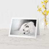 Mijn Maltees Kaart (Gele Bloem)