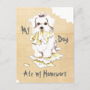 Mijn Maltese Ate my Homework Briefkaart