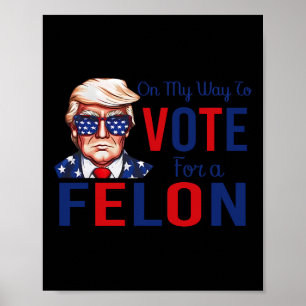 Mijn manier om te stemmen voor een Felon Funny Quo Poster