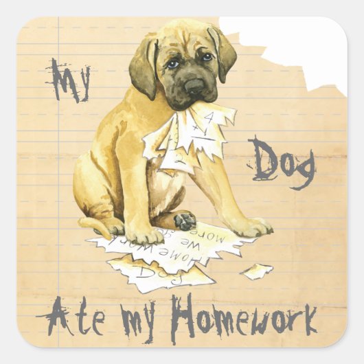 Mijn Mastiff Ate Mijn thuiswerk Vierkante Sticker (Voorkant)