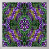 Mijn medicijnwiel... poster (Voorkant)