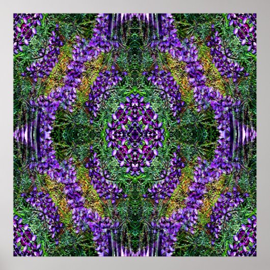 Mijn medicijnwiel... poster (Voorkant)