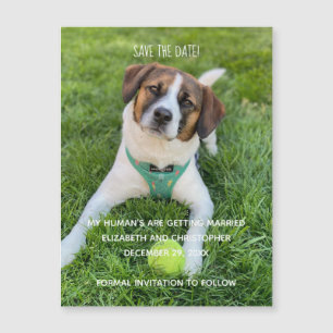 Mijn mens wordt gehuwd met foto's waarop de datum 