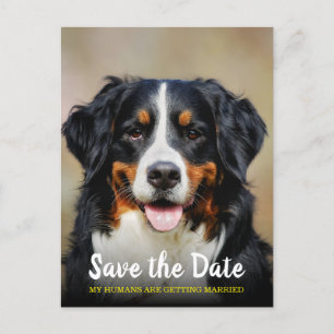 Mijn mensen gaan trouwen Hond Bewaar de datum Briefkaart